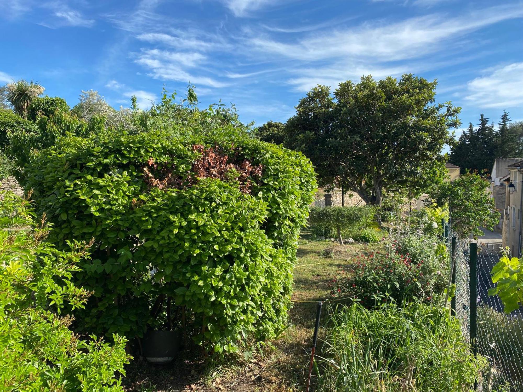 Sous Le Tilleul Saint-Maurice-de-Cazevieille Exteriör bild